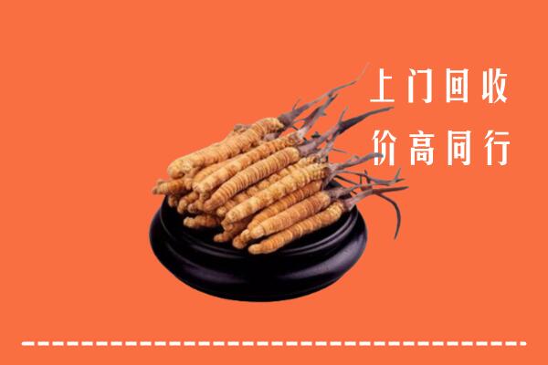 高价求购：柳北区回收散虫草