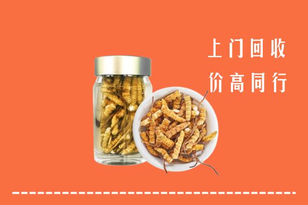 柳北区回收冬虫夏草