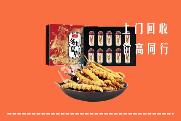 柳北区回收虫草